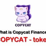 Copycat /Copycat Finance