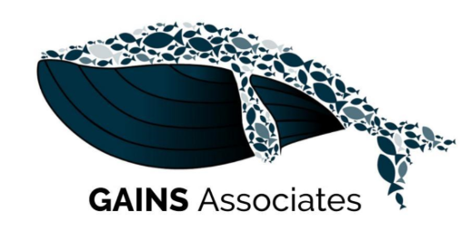  Gains /Gains Associates 