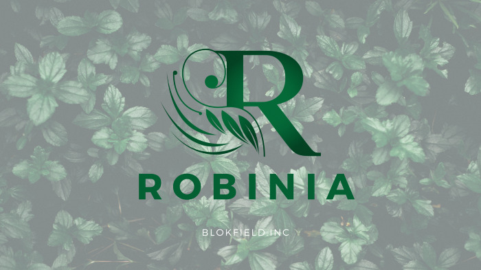 RBS / RobiniaSwap Token