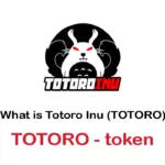 Totoro /Totoro Inu