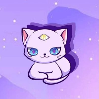 Copycat /Copycat Finance