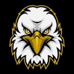 EVI /Eagle Vision