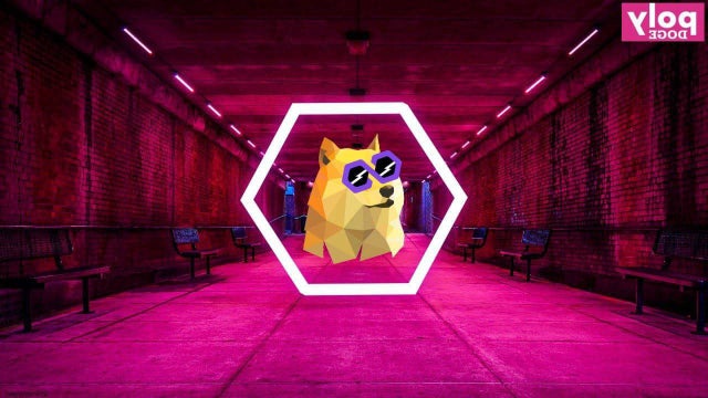  POLYDOGE/POLYDOGE 