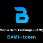 Bxmi /Bxmi Token