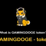 GAMINGDOGE/GAMINGDOGE