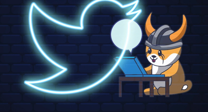Vikings /Vikings INU