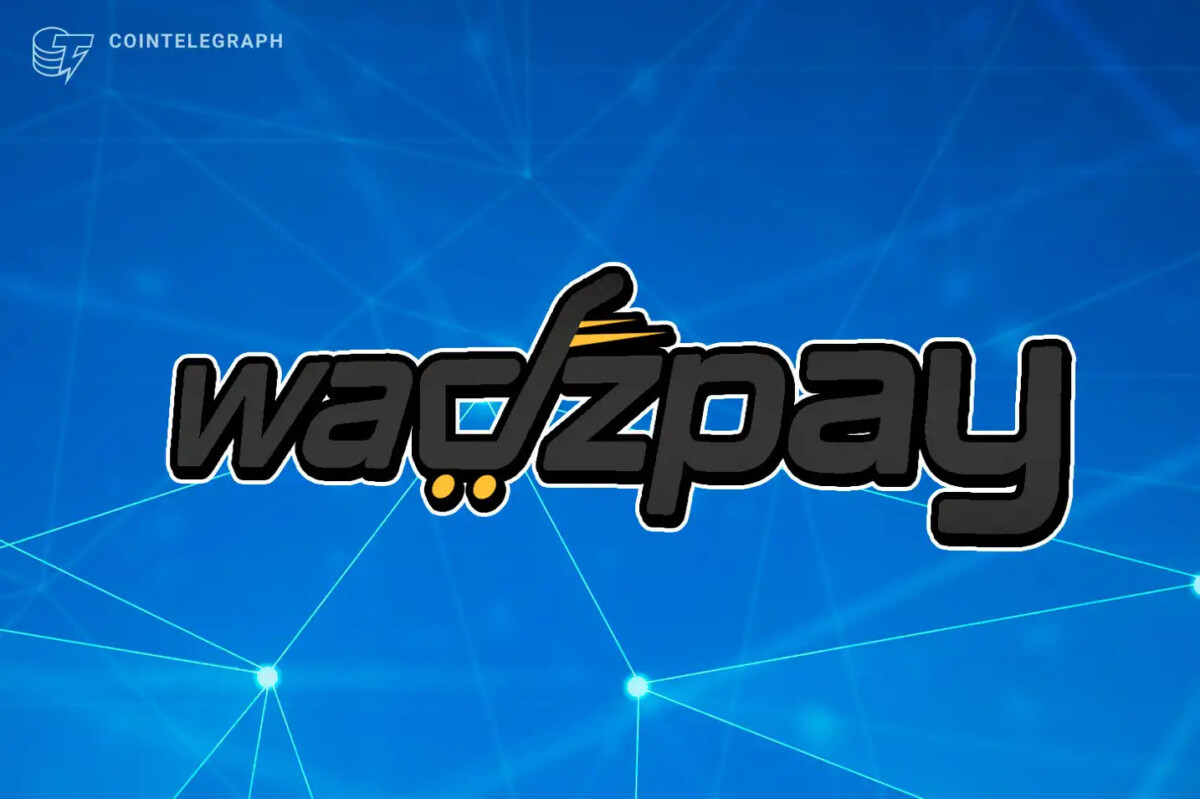 WTK /WadzPay Token