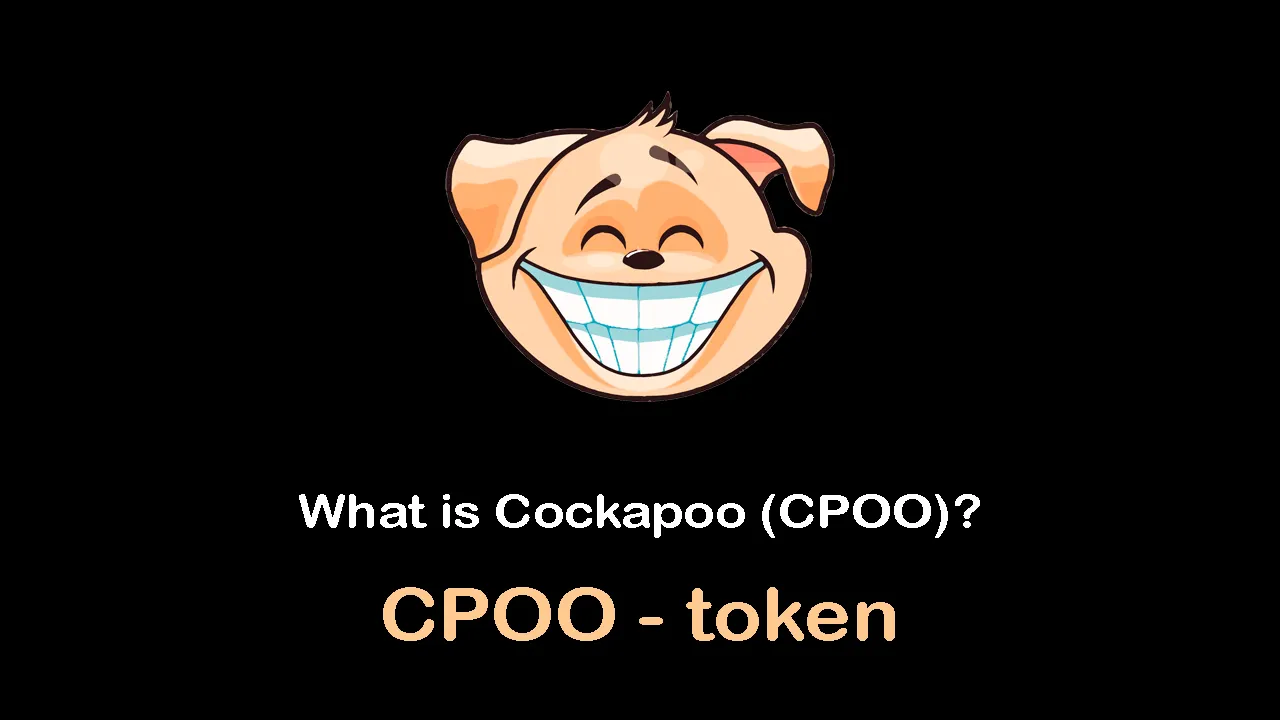 CPOO / Cockapoo