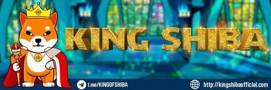 KINGSHIB /King Shiba 