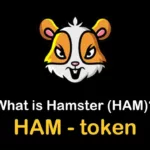 HAM /Hamster