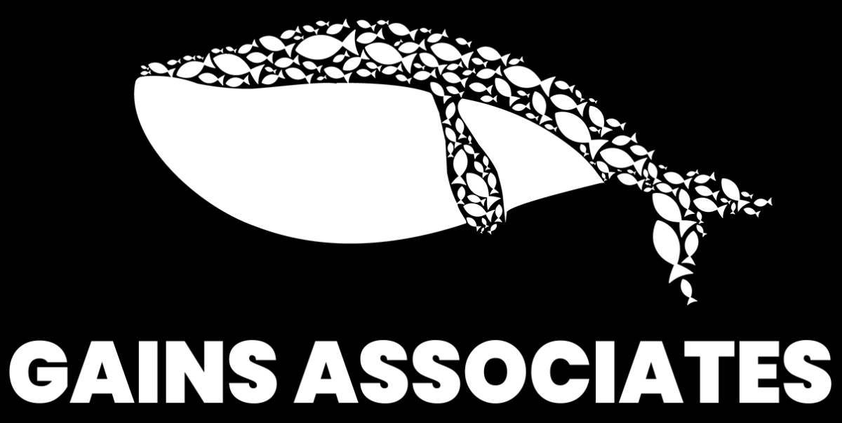  Gains /Gains Associates 