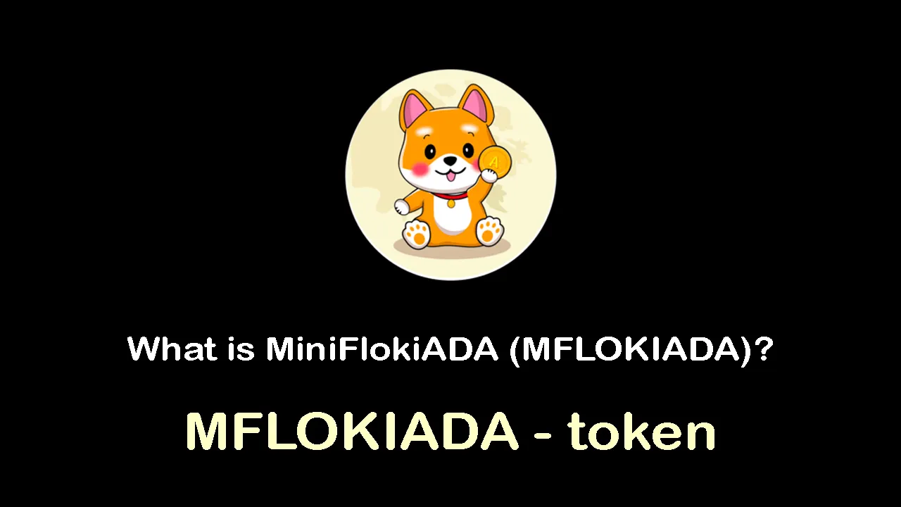 MFLOKIADA / MiniFlokiADA