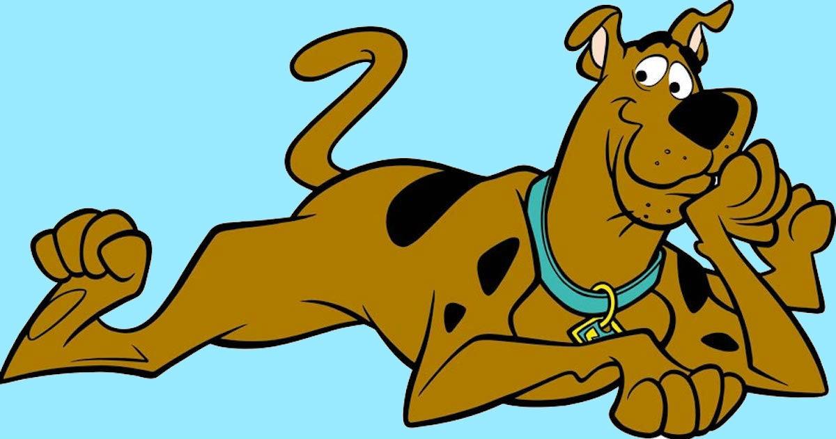 SCOOBI / Scoobi Doge