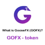 GOFX /GooseFX