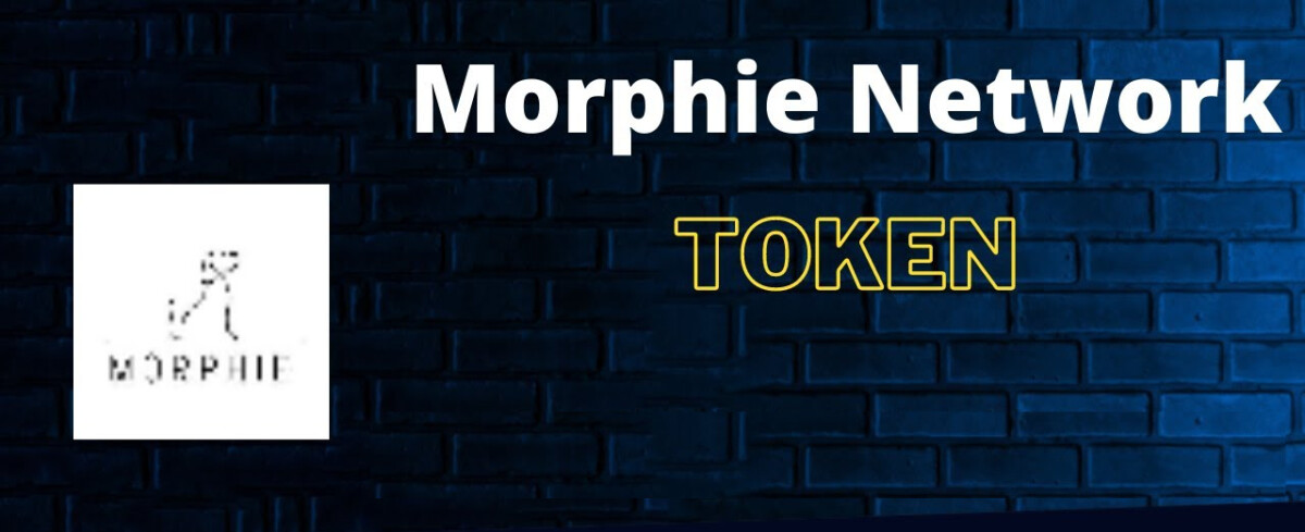  MRFI /Morphie Network 