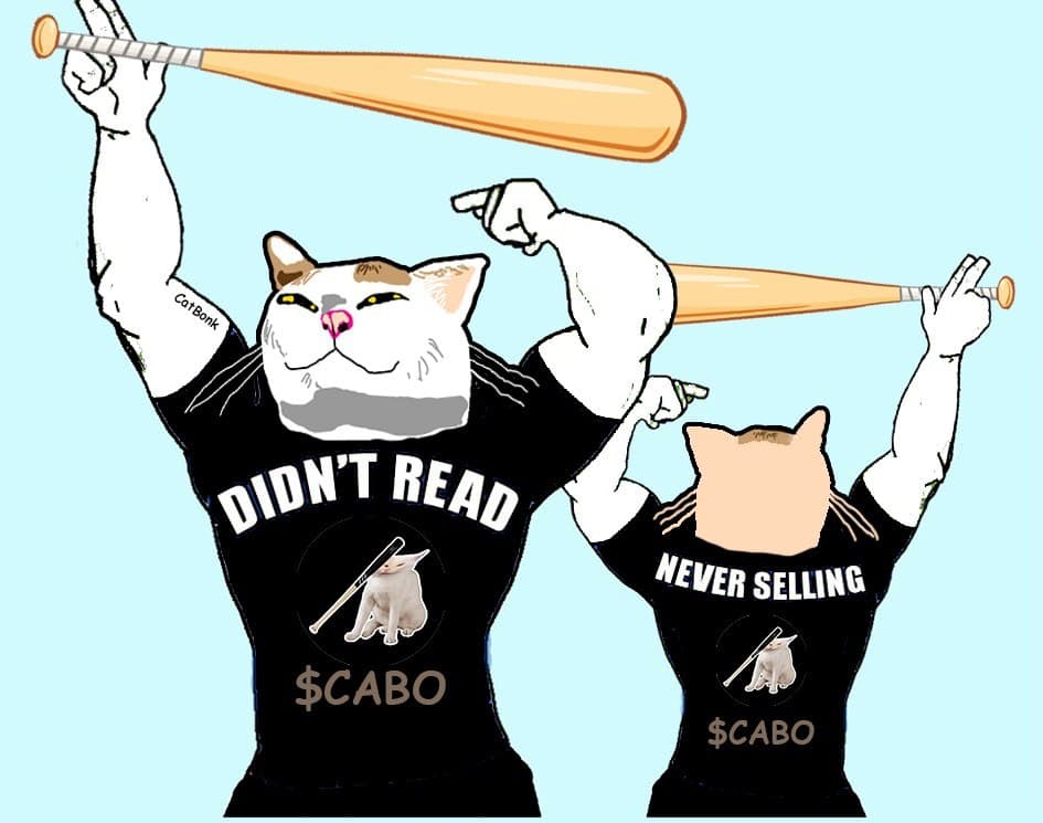 CABO / CatBonk