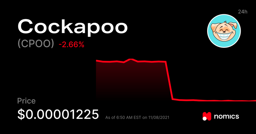 CPOO / Cockapoo