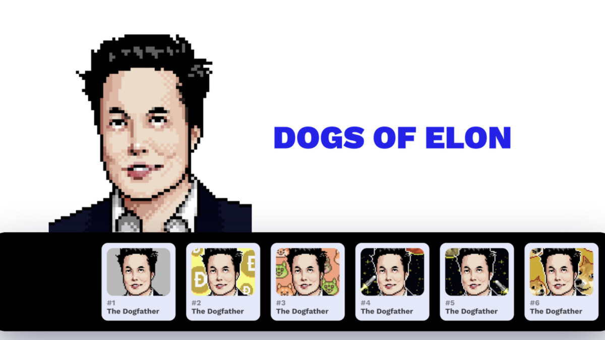 DOE / Dogs Of Elon