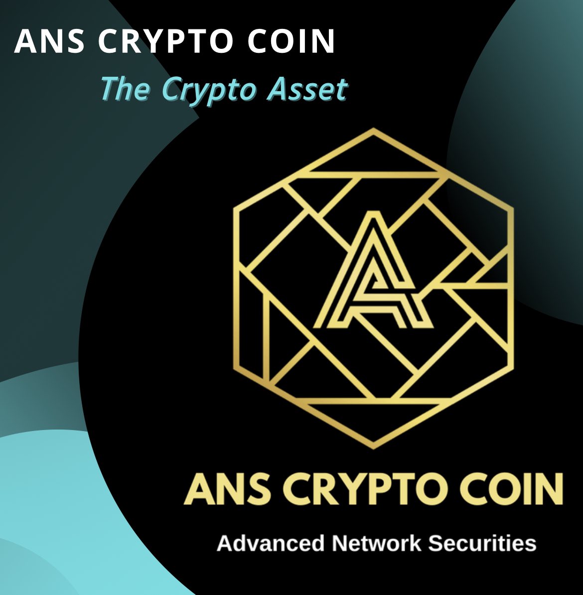 ANS / ANS Coin