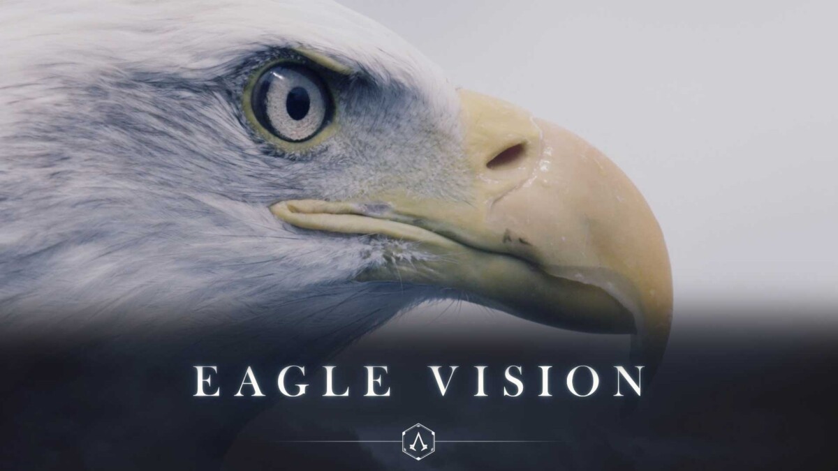 EVI /Eagle Vision