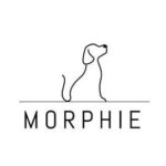 MRFI /Morphie Network
