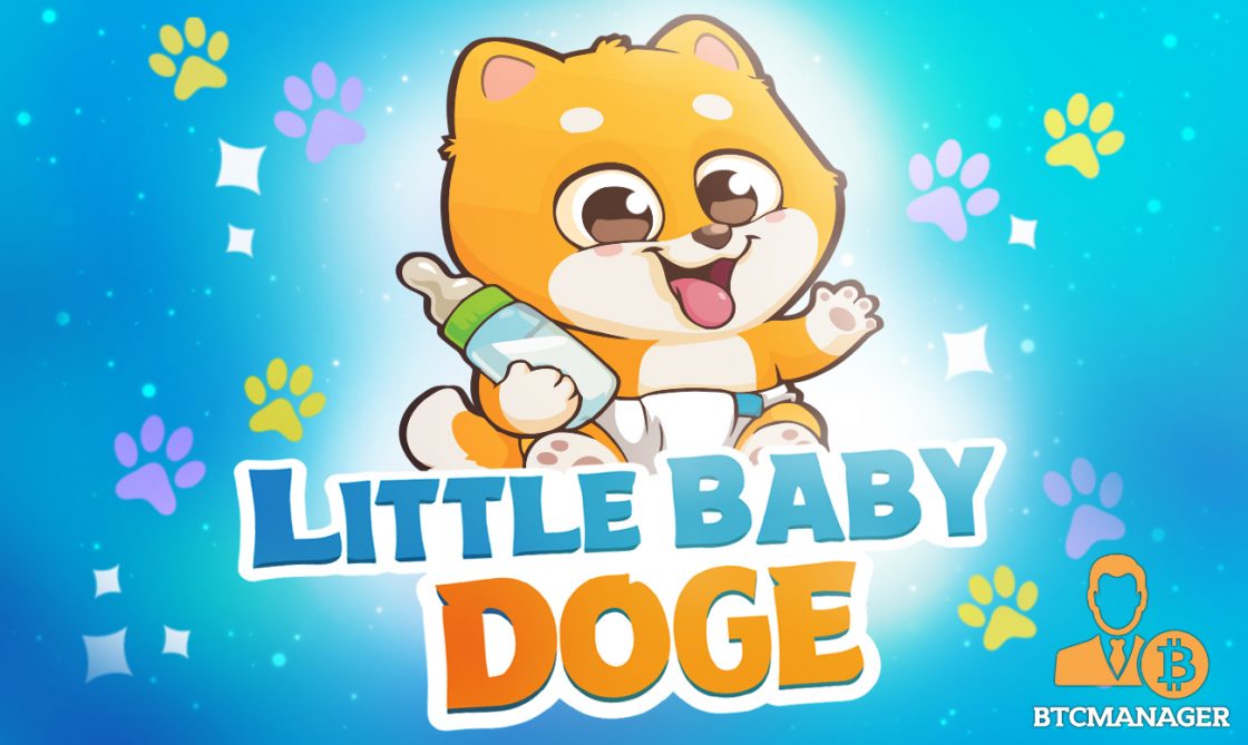 LBD / LITTLE BABY DOGE 