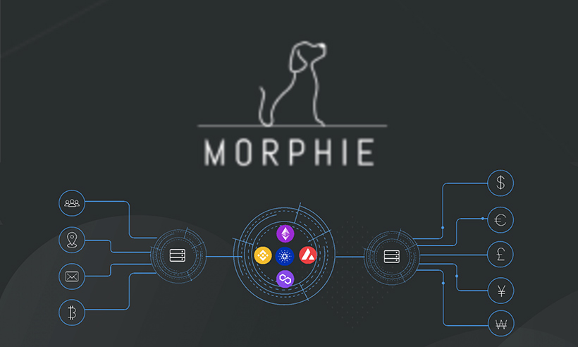  MRFI /Morphie Network 