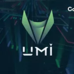 UMI /Umi Digital