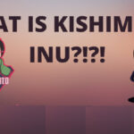 ما هي العملة الرقمية Kishimoto /Kishimoto Inu مشروعها و معلومات عنها