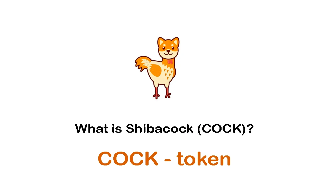 COCK / Shibacock