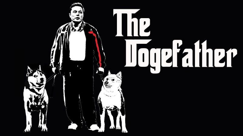 DOGEFATHER / Dogefather