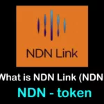 NDN /NDN Link