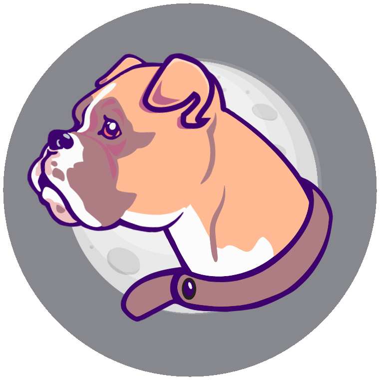 BBOXER / Baby Boxer
