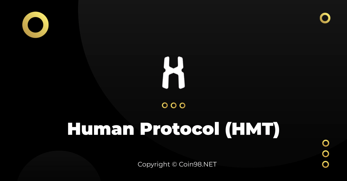  HMT /Human 