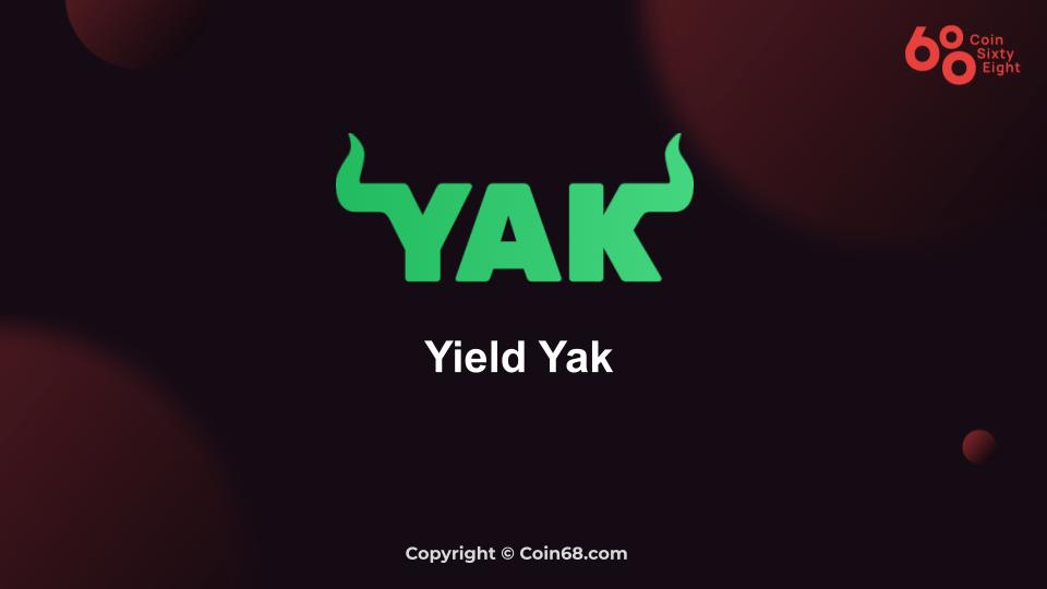 YAK /Yield Yak