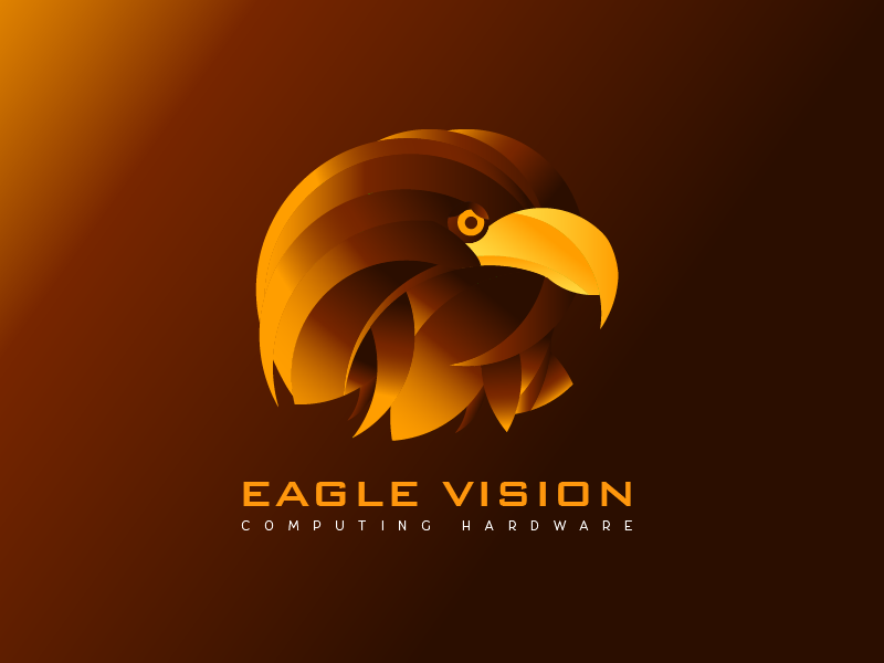 EVI /Eagle Vision
