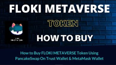 FLMT / FLOKI METAVERSE