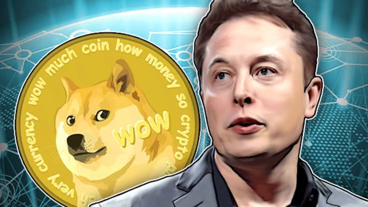 DOE / Dogs Of Elon