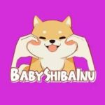 BABYSHIBAINU /Baby Shiba Inu