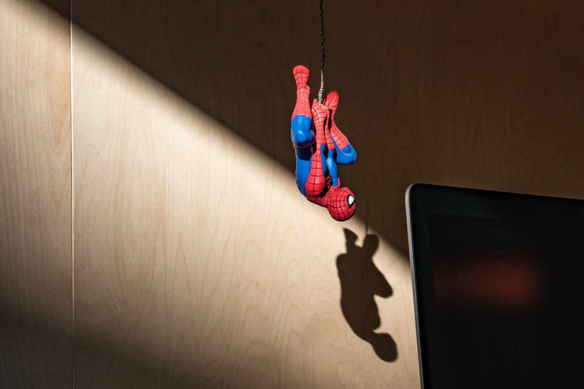 SPIDEY INU / Spidey Inu
