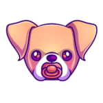 BBOXER / Baby Boxer