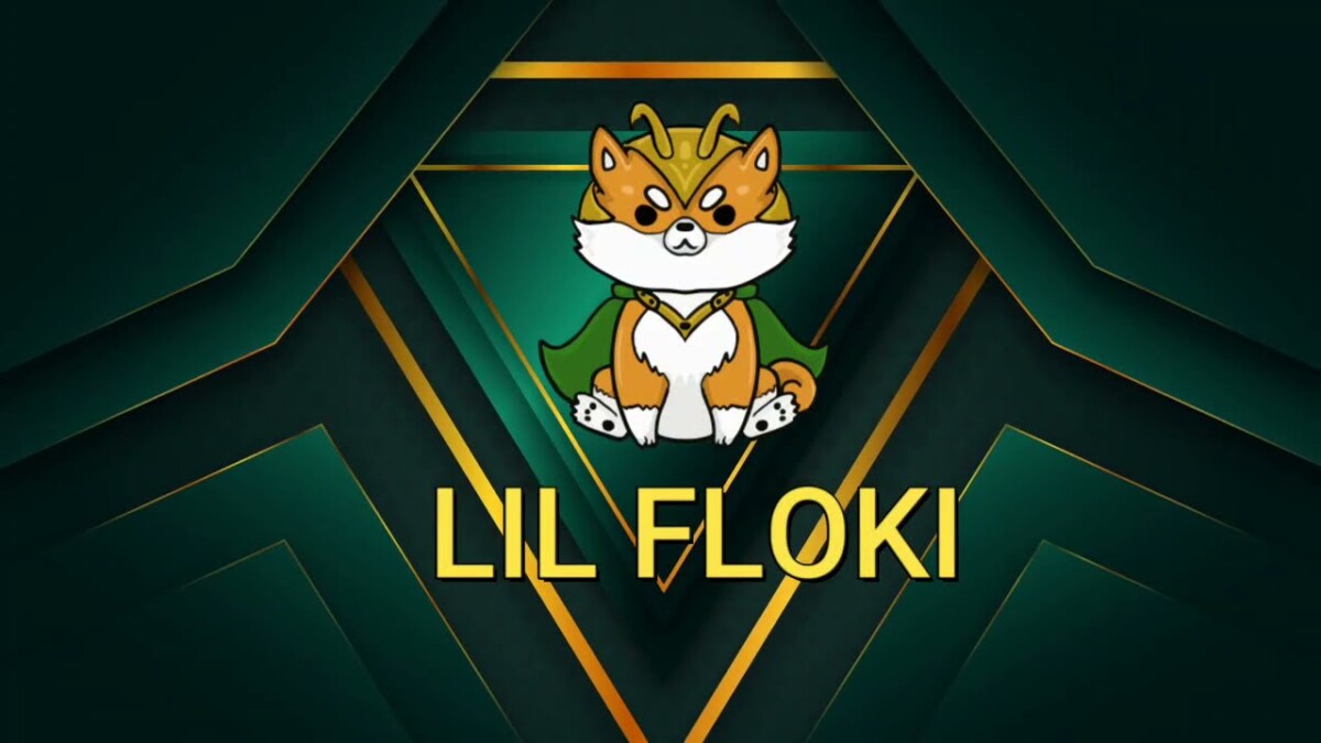  LILFLOKI /Lil Floki