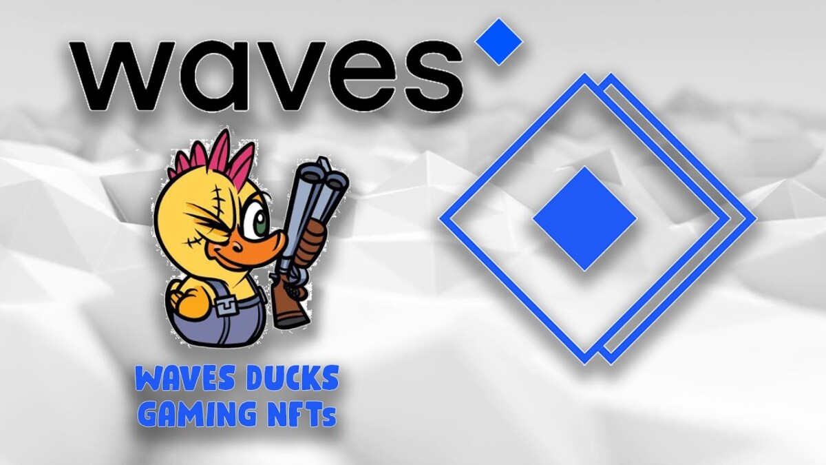EGG /Waves Ducks