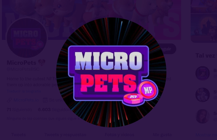 PETS / MicroPets