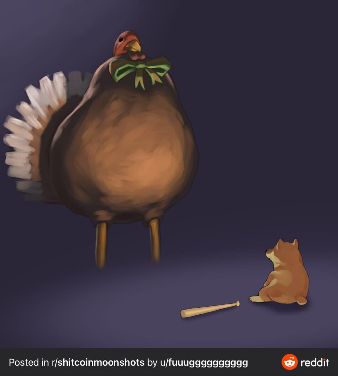 TURKEY / TURKEY INU