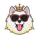 KSAMO / KING SAMO