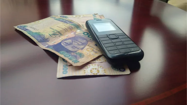 يريد البنك المركزي النيجيري من المؤسسات المالية تطوير منتجات بناءً على عملته الرقمية للبنك المركزي