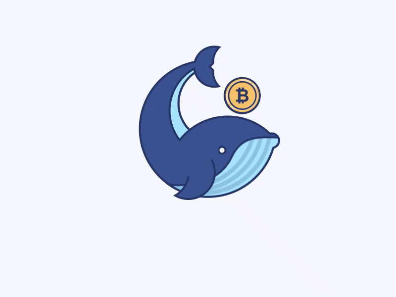  Whale /Whale Fall