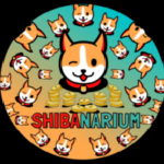 SHIBM / Shiba Narium