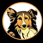 KIRADOGE / Kiradoge coin